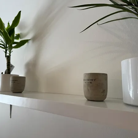 In Art Nouveau District