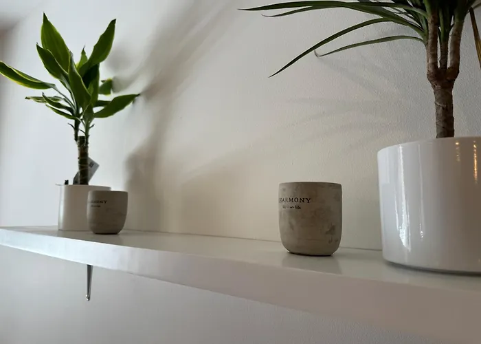 In Art Nouveau District