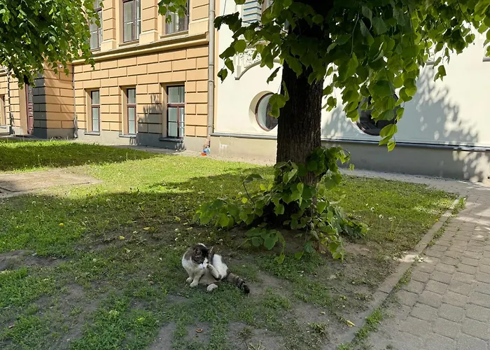 Dzīvoklis In Art Nouveau District