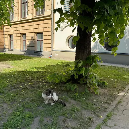 Apartman In Art Nouveau District